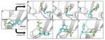 Weighted ensemble simulations with the Drude polarizable model